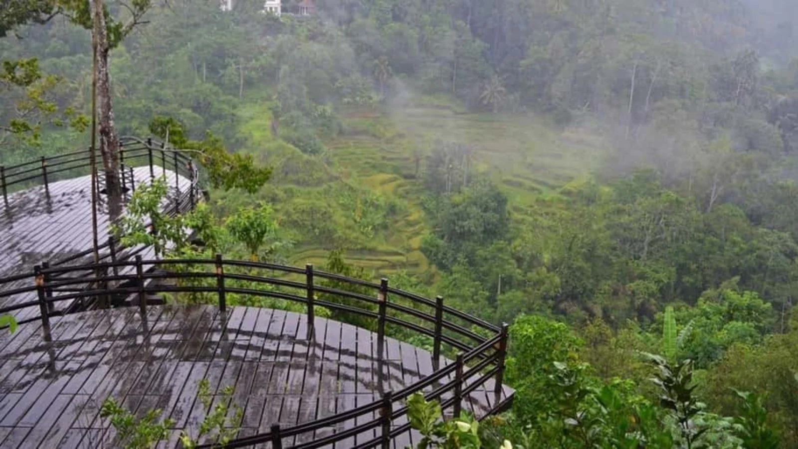 Mencicipi Nikmatnya Bersantai di Desa Kopi Bali Ditemani Alam